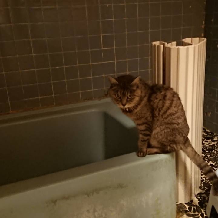 116feb48 eed4 4035 908b 9ffc2c60e472 1577353022791