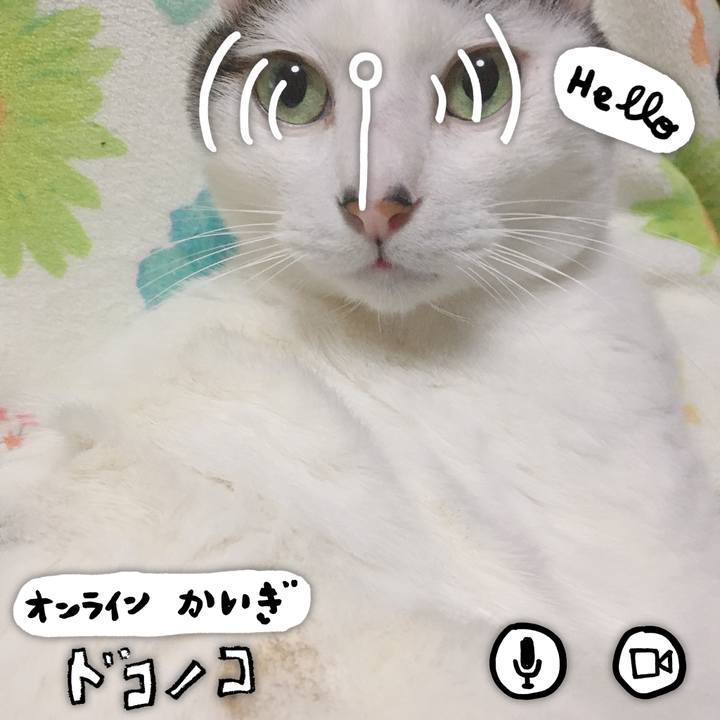 117000e1 74b5 4978 993f 92678679867f 1590788156417