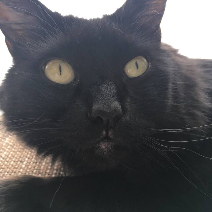 11700d91 561a 4304 b9f9 496a6dd2c47e 1518076253261