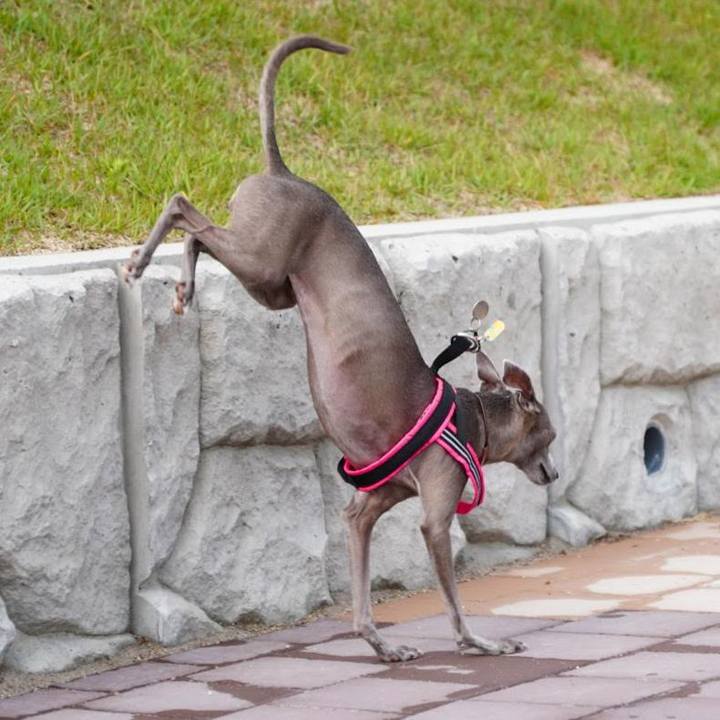 1170698f b92f 4f13 b7d6 360d9e6f5acf 1759407467404