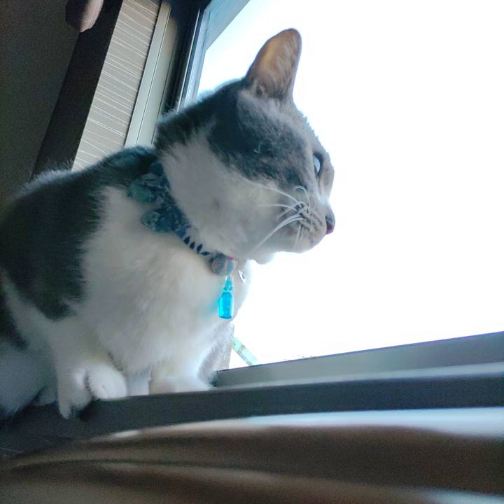 11707cf1 ef21 4552 8f2f b427b332559b 1672271274516