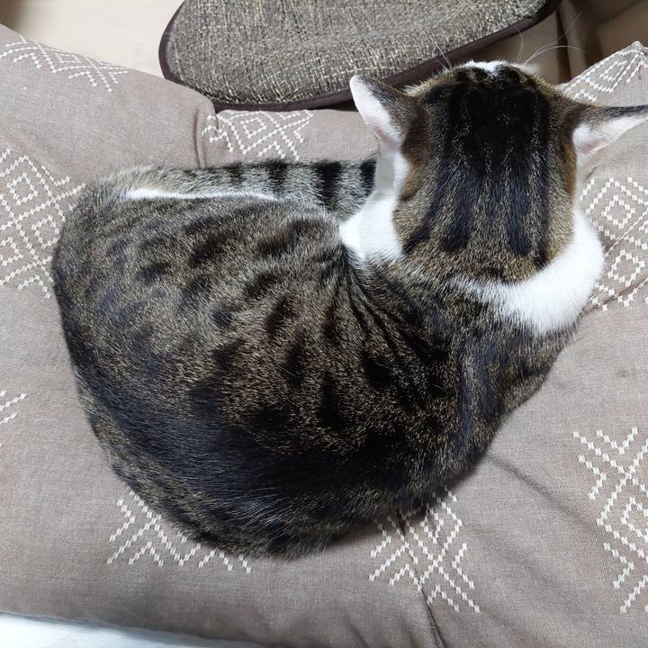 1170945c d681 43b5 a51e 5c16d5e22372 1655895880555