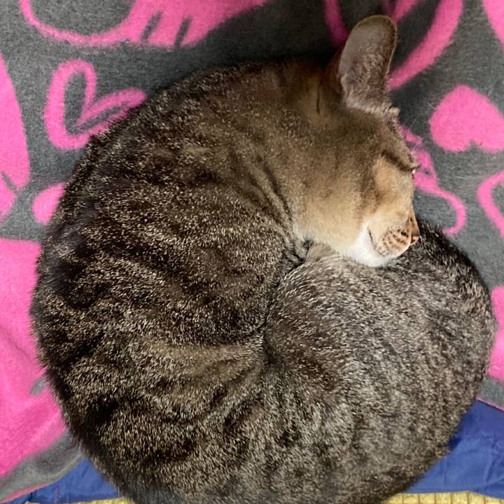 1170f7ee bc94 490a 92ce 382c89d8be16 1770596723084