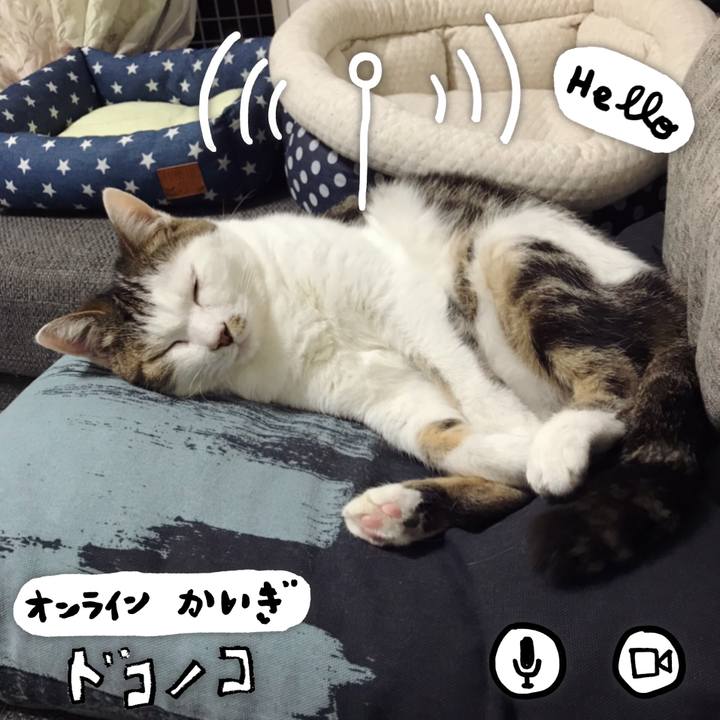 11710521 ff7e 4e75 94d5 5875fd7f14b8 1590755606228