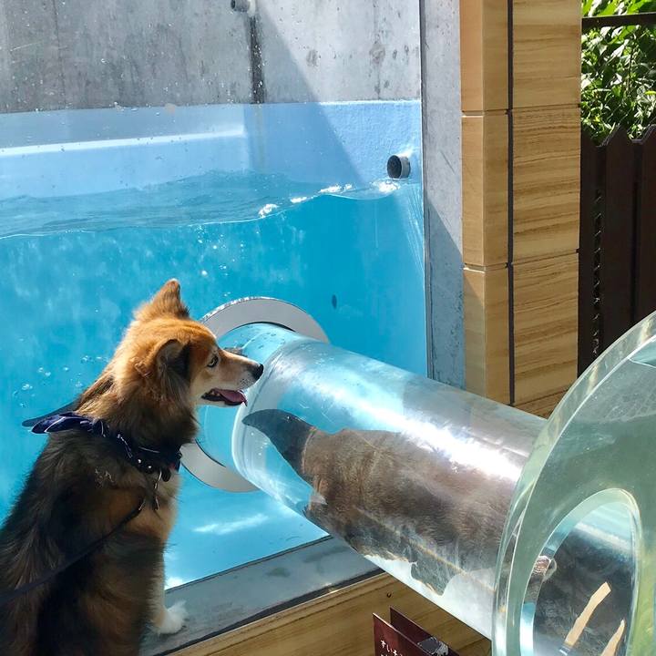 11710751 5785 4e1a bcf3 94d6575c8725 1530687160822