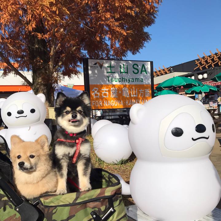 11713f1d 3667 4580 bed3 c9272247fe44 1607694262362