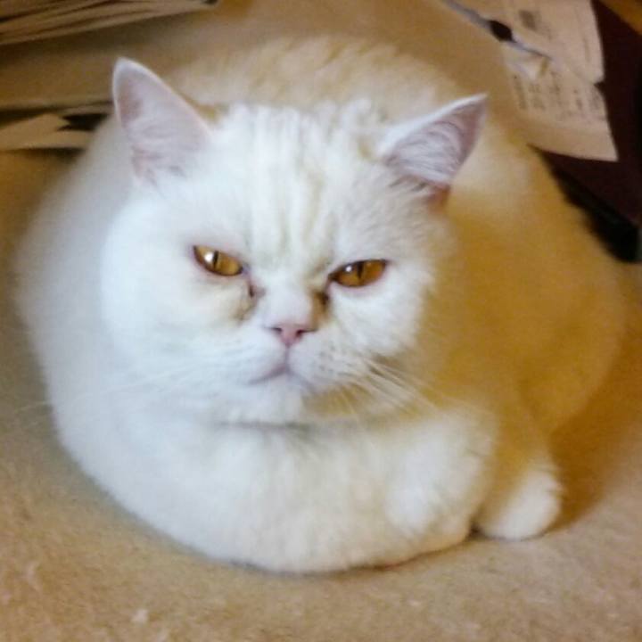 1171690c 8511 4a8d b53f dea8e6a8e7bd 1511678220952