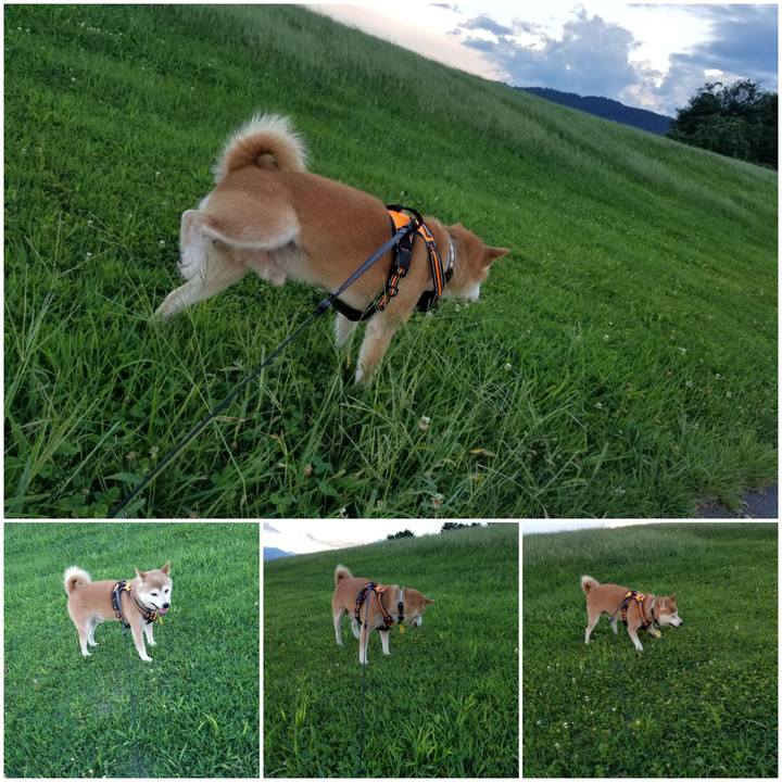 11717ba3 757c 4e94 88f4 52b3c6f15b6c 1597136952534