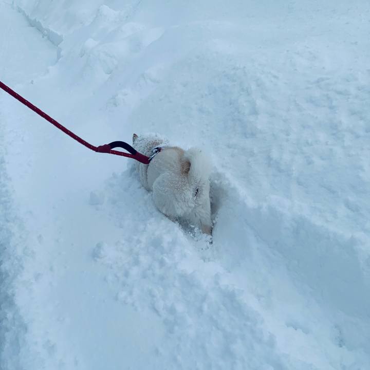 1171a607 0e04 45d0 b429 5e685e029455 1677019140916