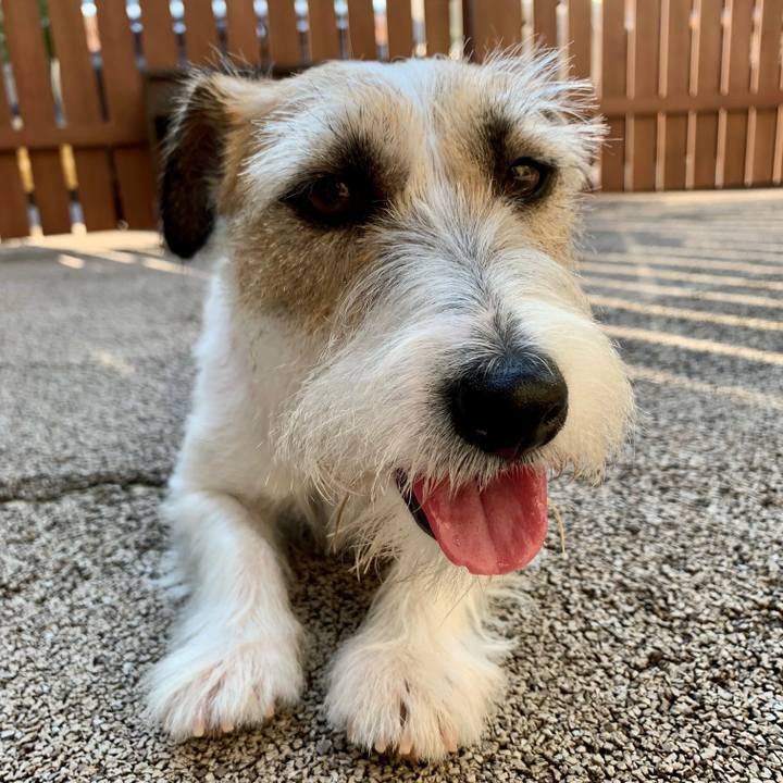 1171b1bf 8682 41f0 9dc5 bf820029f562 1656737913973