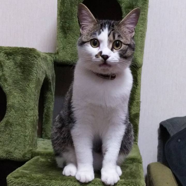 11720371 b4ab 4ba5 8f02 b2cbafaa1c9e 1617098563544