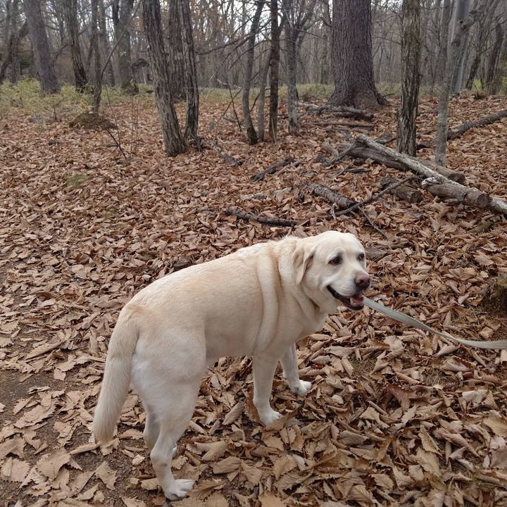 1172340e ba40 4ddd b308 a9da4f4680d8 1699078403773