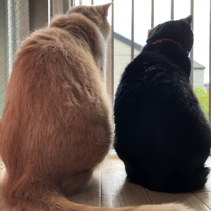 11725aac 83f6 4223 ab33 dab8f279d11c 1621731820765