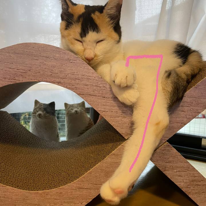 117274f4 bf0c 425a a810 2f526a636ac9 1686293272613