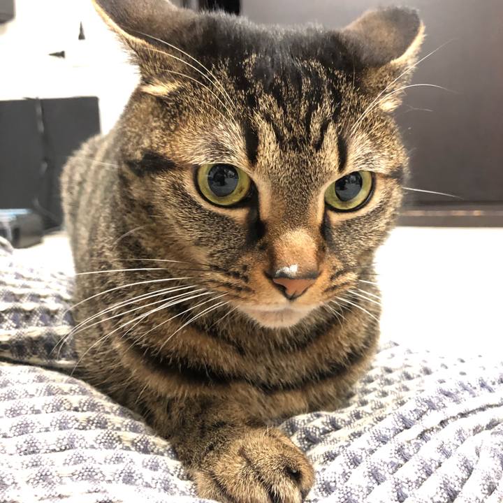 1172b1f6 b05e 4641 bf9c 593330e0fc67 1583424957784