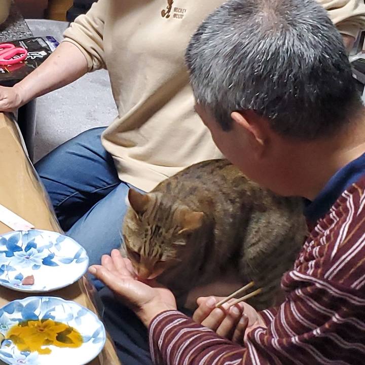 1172e1ac 6d0f 4ee6 becf 160ce86a5bdd 1704383371403