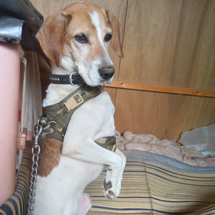 117301cd 5284 4992 a6b8 40605f86ee8b 1734668933911