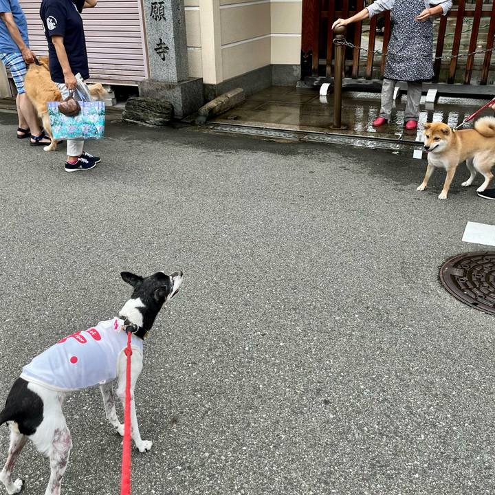 1173146f 687f 4017 824f 642673c93822 1658015089715