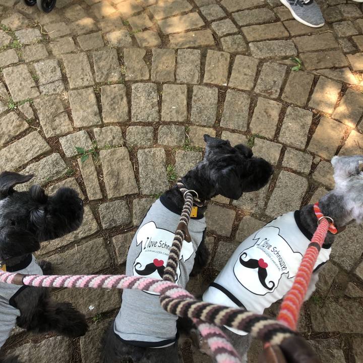 117330db 29e5 49ec 9e64 da48377215cf 1557624805647