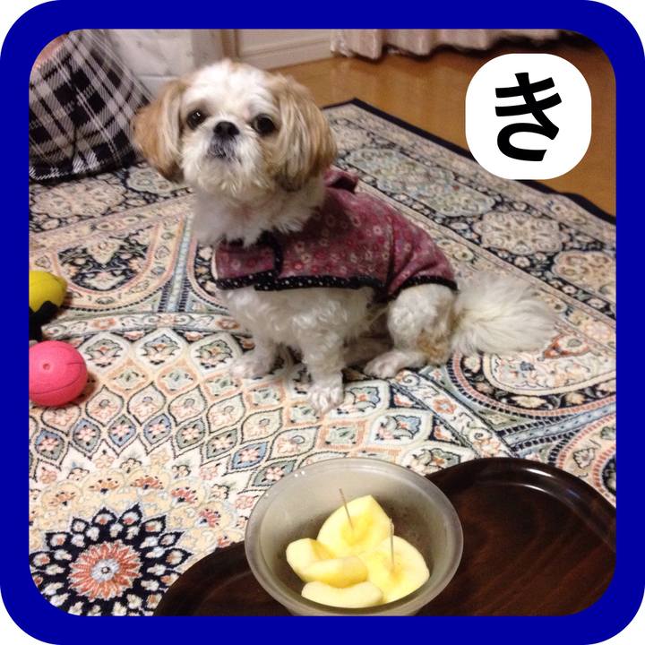 117341c4 619e 42f6 aada 82ca78c9dae6 1515212662846