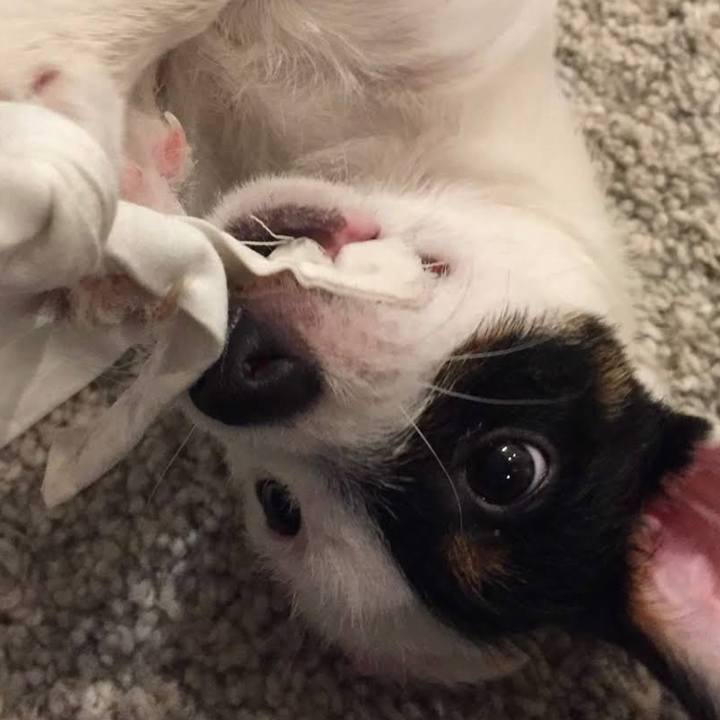 11735b1c a3b5 4095 88fe 32dbe87a364c 1676208672408