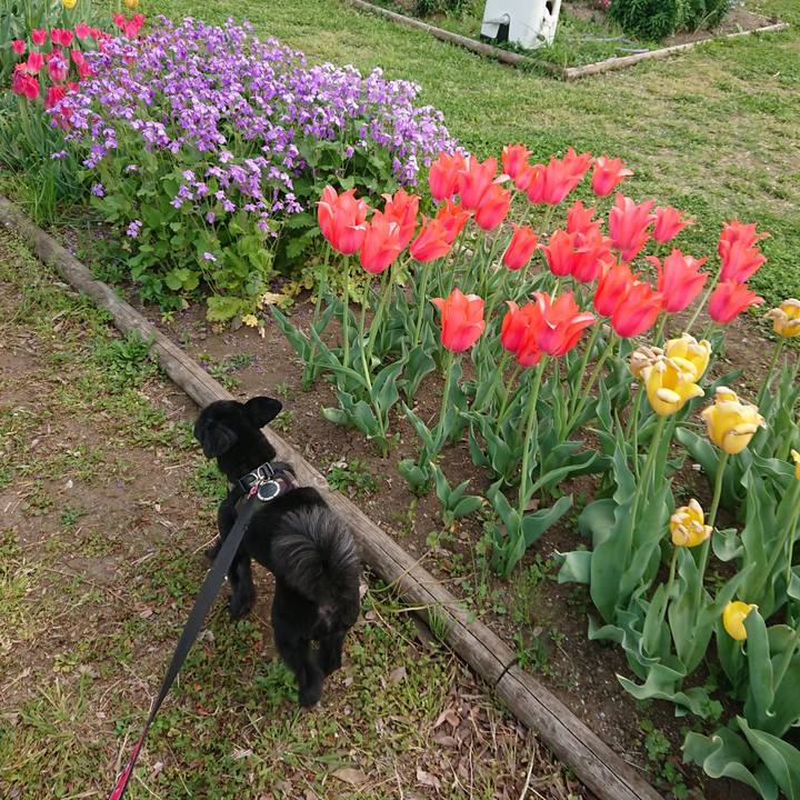 1173606c 2b5e 413c aa16 899923094f4d 1555828816132