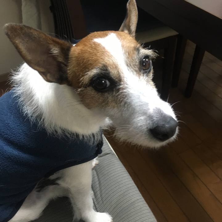 11738ab4 2fc4 479a b879 2cb5cde54e68 1554882913124