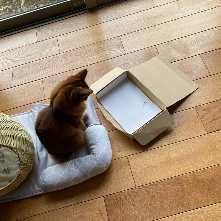 11739969 f663 4dcc acc0 97021ca44e57 1696684450982