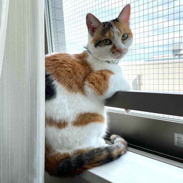 11739df1 9b25 4a0d b49d a22b0952c4d8 1692747398354