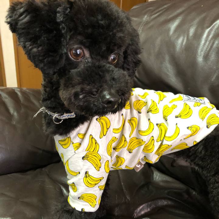 1173be18 5335 4248 9d04 5c069cbce7b1 1554011489357