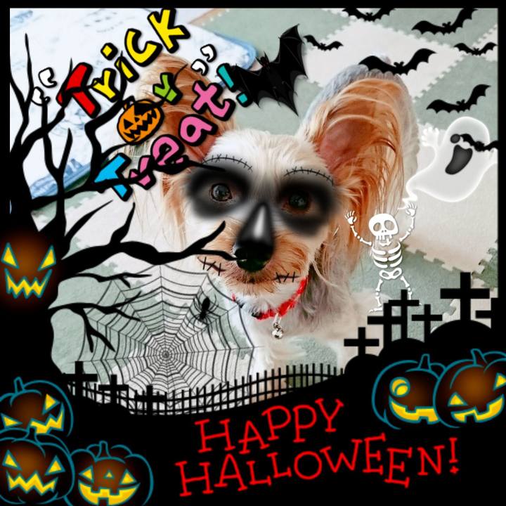 1173cc52 21b2 42d5 bf58 b91083ba5e7e 1540993849775