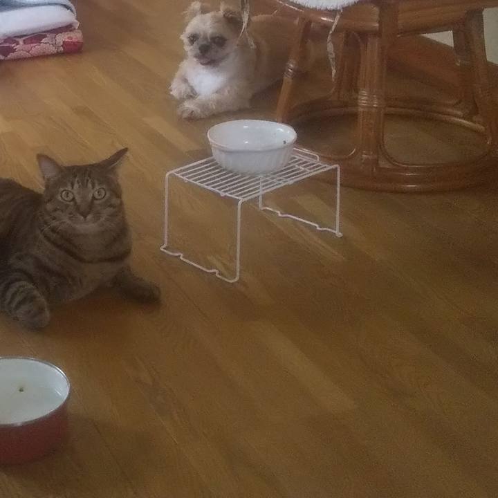 1173eb5e 0347 41c8 a501 9fddff703229 1754268196663