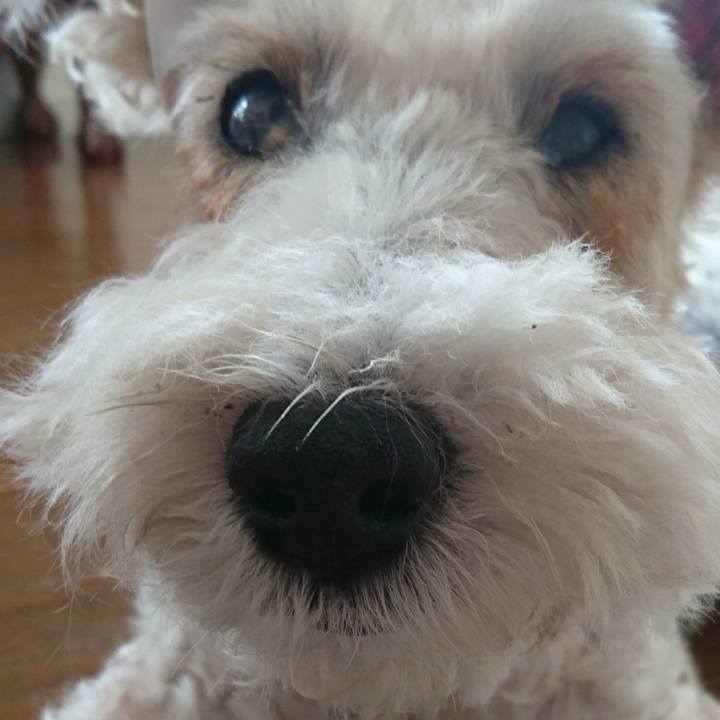 1173fd2e ee64 429e 9aaa cd557d0319d7 1567215370259