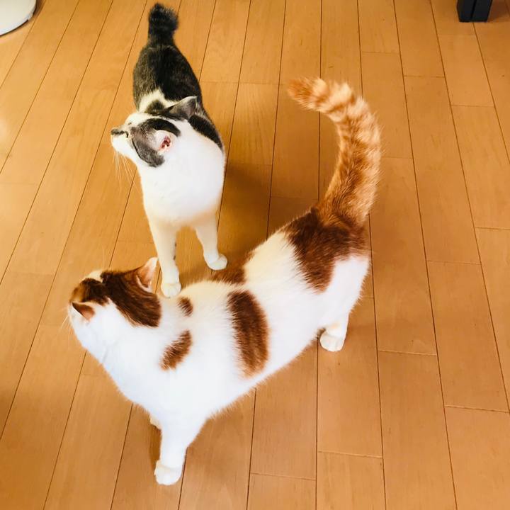 117408fa 2d9f 4ae8 8b10 8e05d5f3fb10 1601719781754