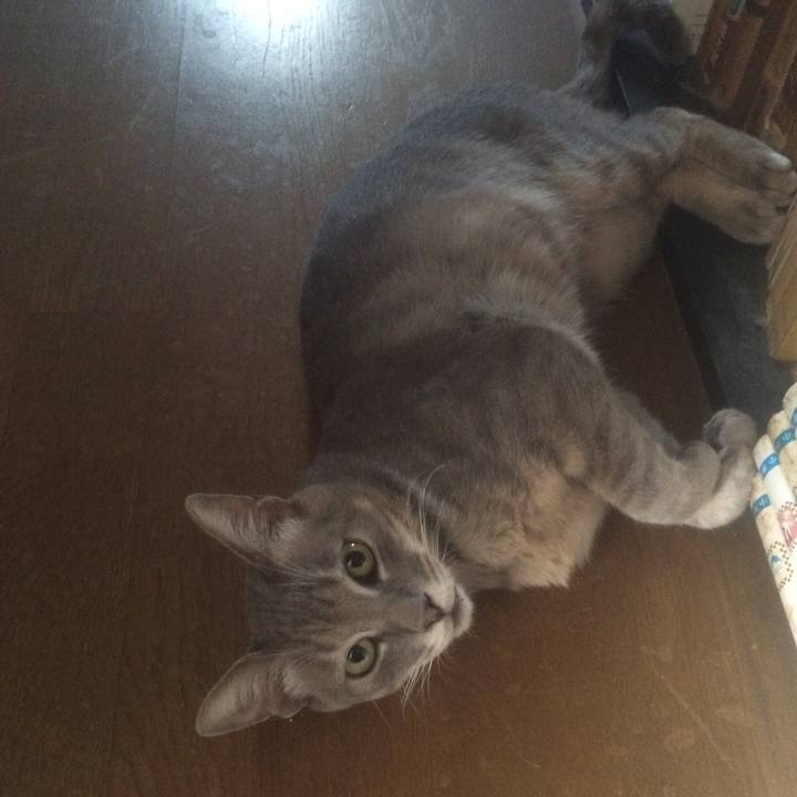 117428cd 4b56 4dec b3bc fd64cc06bd6d 1530057005362