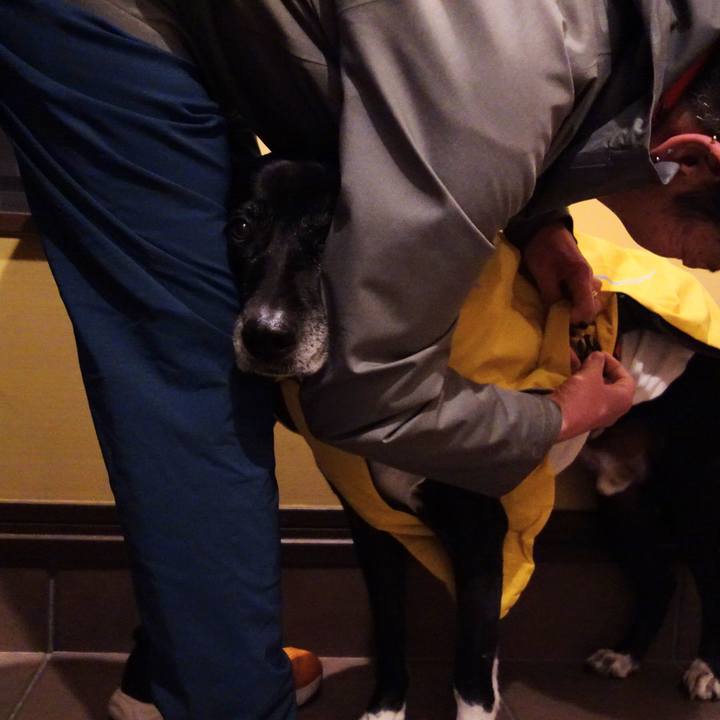 11744de2 4858 4785 bc00 17e527e1ba75 1736679949131