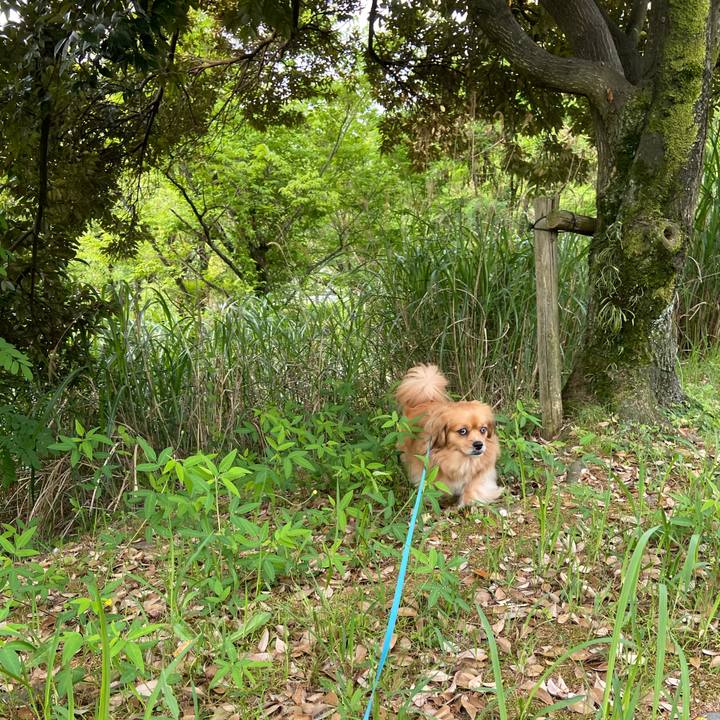 1174512e c520 4b77 b11e 82bd159e9062 1591653570802