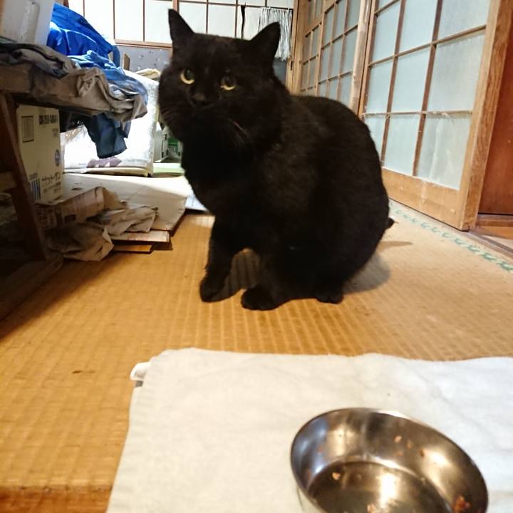 117473e6 f40d 4ae1 96ad b9ee37d13824 1614595158336