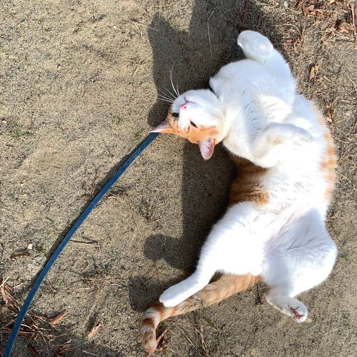 117477cb 32f8 4b17 8354 33884c2045e7 1573356777291