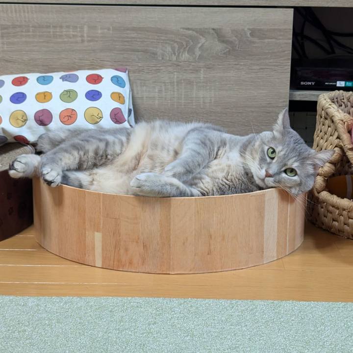 117479e2 22cb 44c7 8fb3 6ce206e2eda3 1735542275504