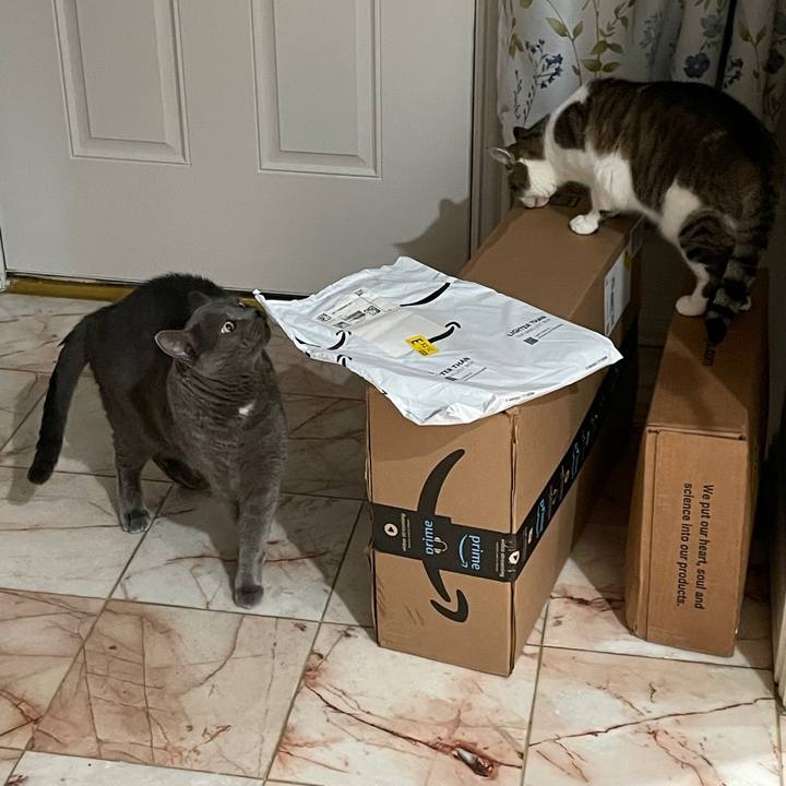 117487b2 f1eb 4063 ad0b 3328920793a9 1769552842276