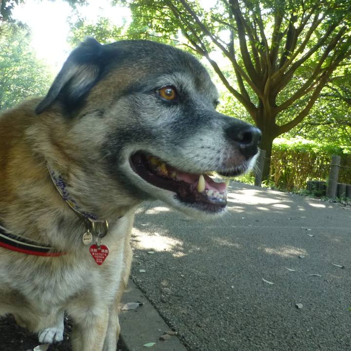 1174ac87 5055 46df b673 6b131e75006b 1614213028888