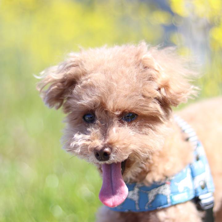 117522fd 24b1 43dc a2b1 392ecd1ba5cf 1584844242033