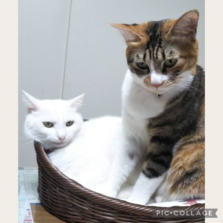 1175421e 0030 4403 aa78 65377ec535ec 1700735858787