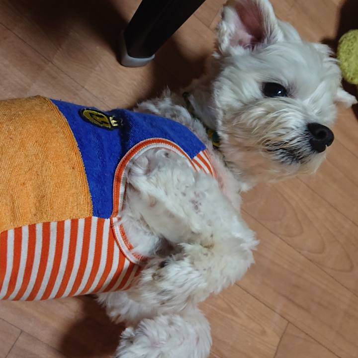 11755744 e506 4a8c a761 2efc7c8db290 1590060431202