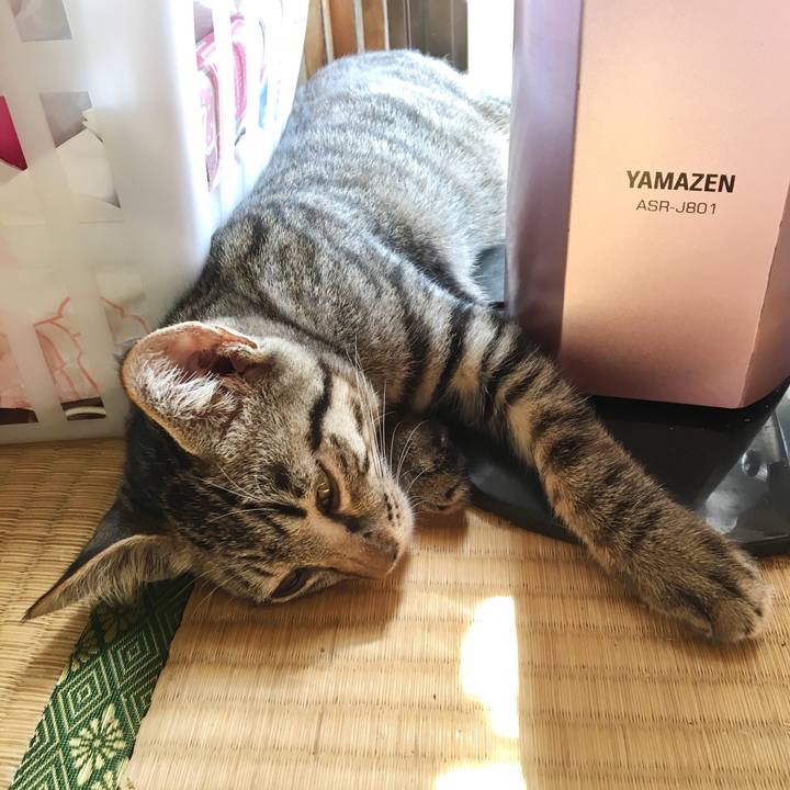 11755784 99f2 4cbf a405 65321de014ba 1537239425731