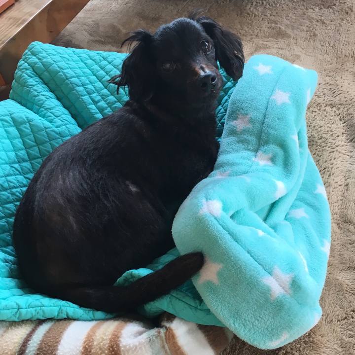 117563f9 98e5 4812 8623 88aa6acd43f7 1550371074254