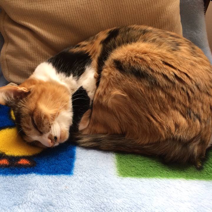 1175bb43 a495 47df 84e6 29739d4505cd 1518228480999