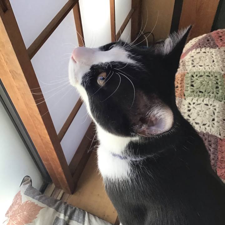 1175bbd7 7bb2 41b7 9337 05abc6ac039b 1637976983465