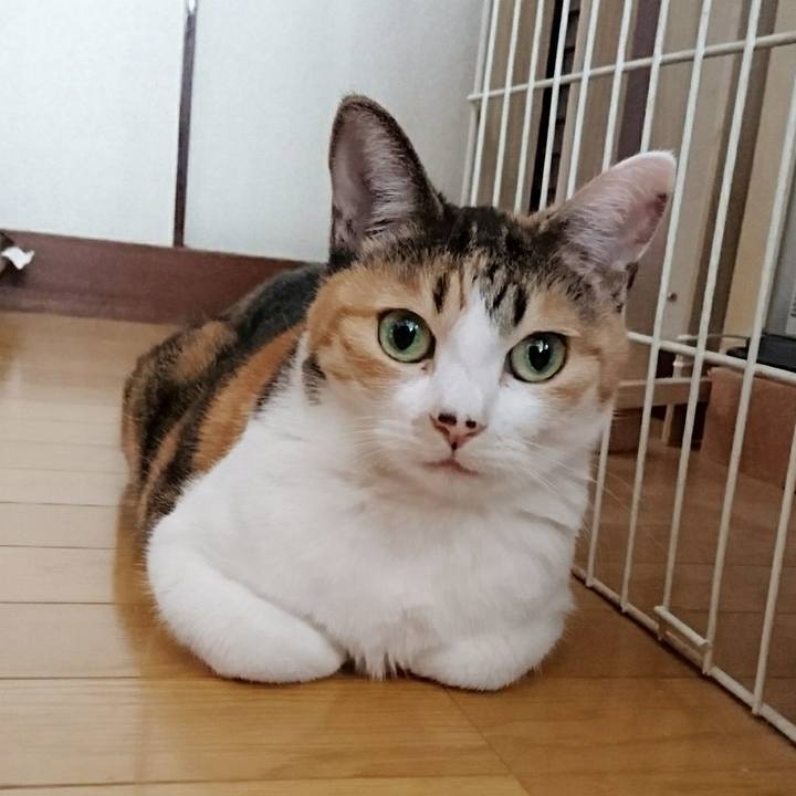 1175f694 4124 4bae b12d 5c722f3a3ad4 1553301163183